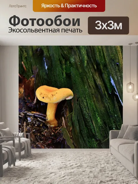 Фотообои Лес