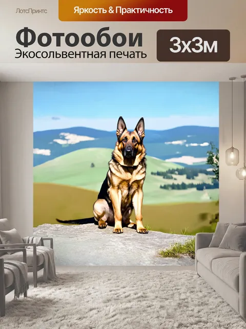 Фотообои немецкая овчарка, внимательно прислушивающаяся к звукам окружающего мира, сидя на краю живописного холма