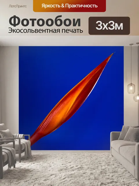 Фотообои Стрелиция