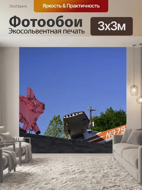 Фотообои Свиньи