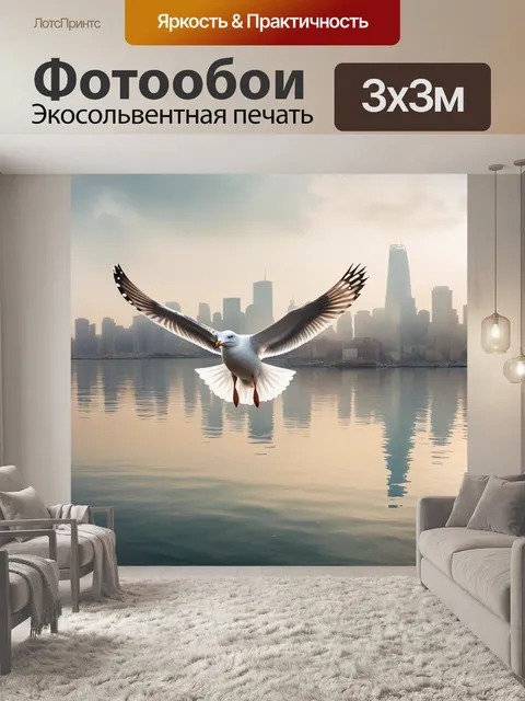 Фотообои чайка, свобода, город