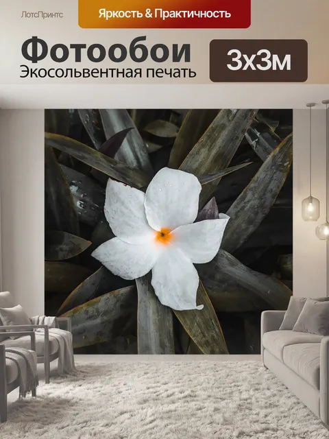 Фотообои Цветы
