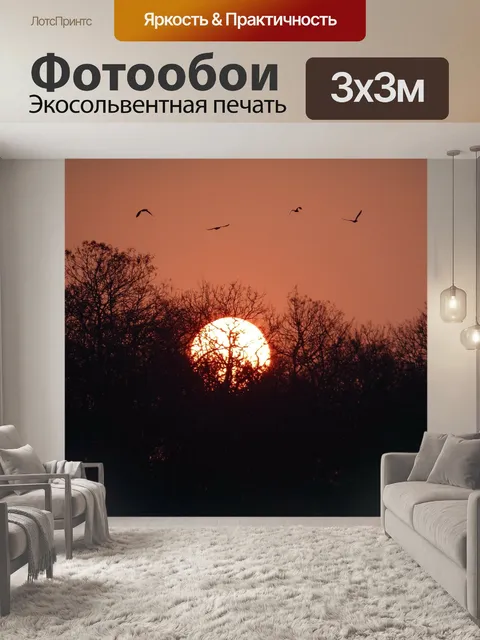Фотообои Заход солнца