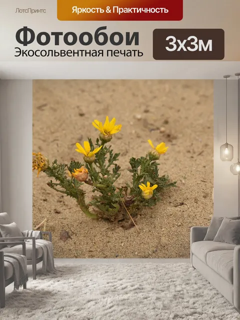 Фотообои Желтый пляжный цветок