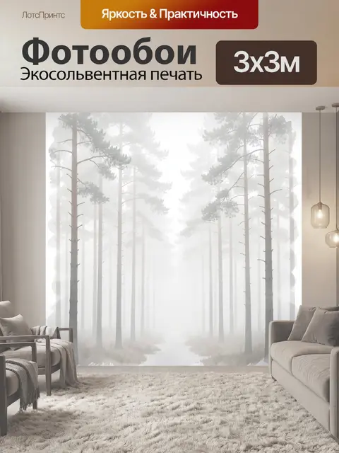 Фотообои Туманный сосновый лес
