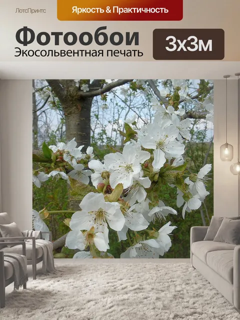 Фотообои Весна