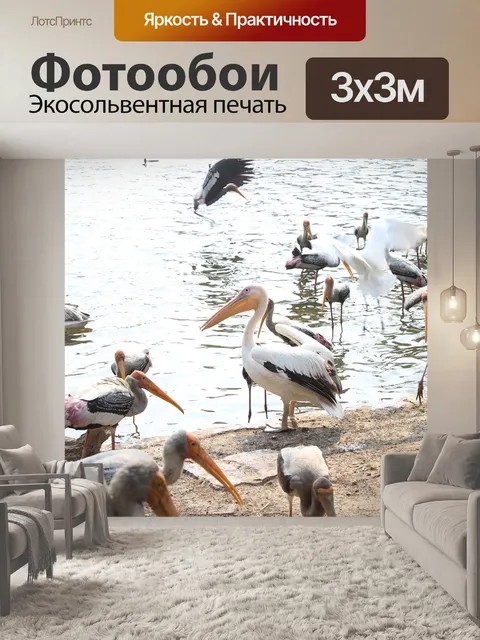 Фотообои Птицы