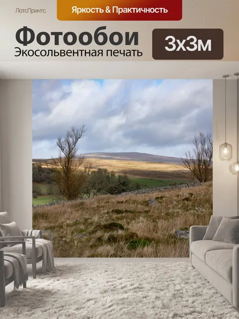 Фотообои Поле