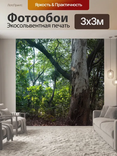 Фотообои Деревья и листья 32