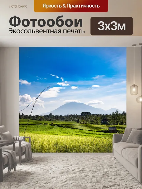 Фотообои Поле