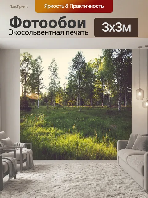 Фотообои Лучи солнца