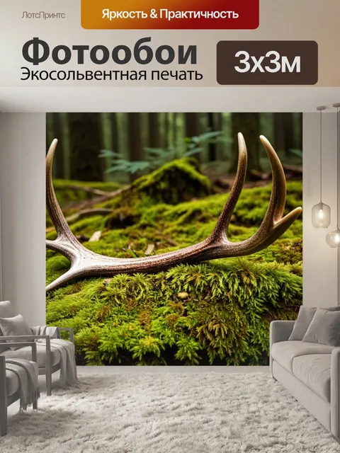Фотообои коричневый олений рог, лежащий на покрытом мхом лесном полу