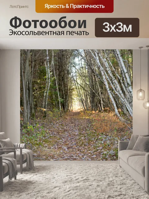 Фотообои Путь в лесу