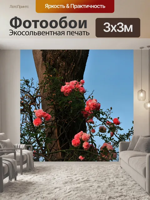 Фотообои Слабая Роза против мертвого дерева