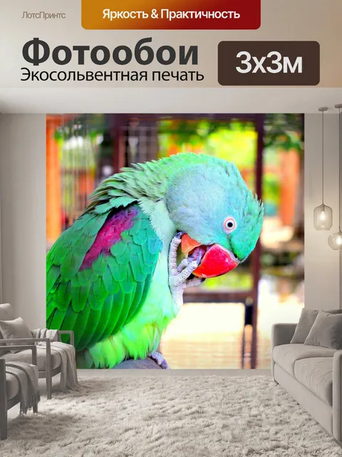 Фотообои Попугай