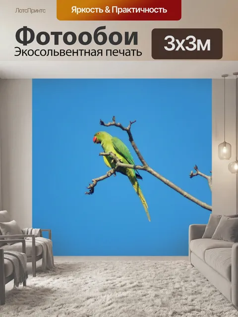 Фотообои Роза кольчатой попугай