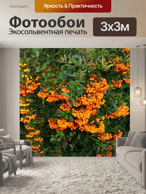 Фотообои Природа