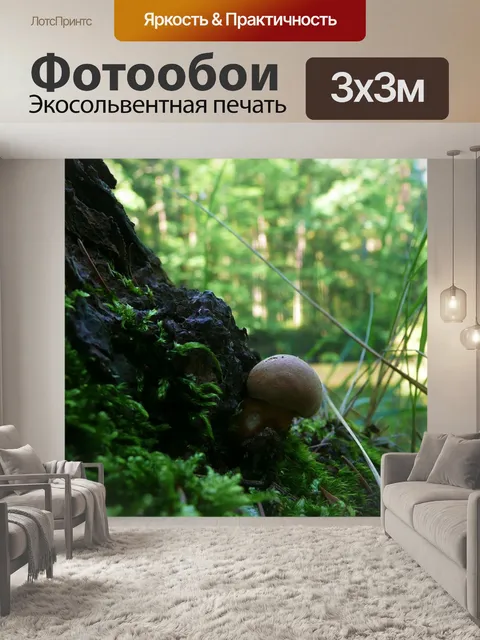 Фотообои Гриб