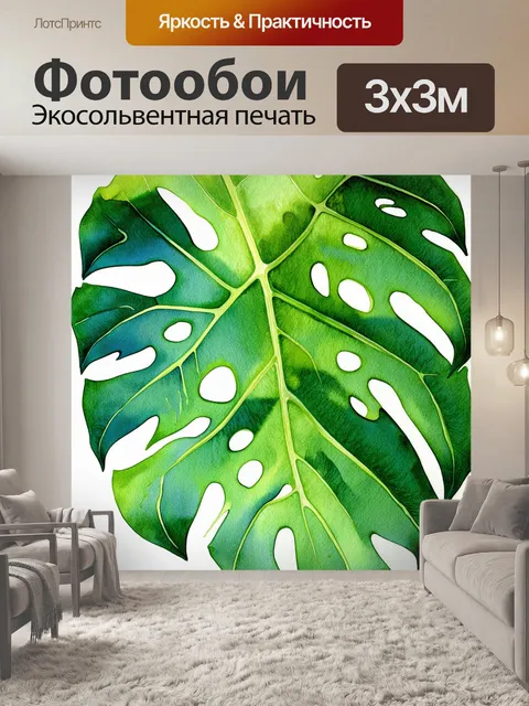 Фотообои изображение крупного плана листвы монстеры