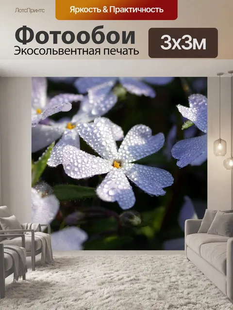 Фотообои Цветы