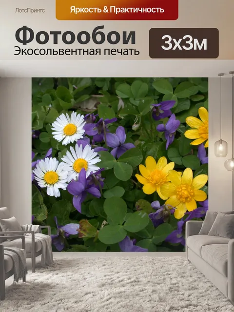 Фотообои Полевые цветы