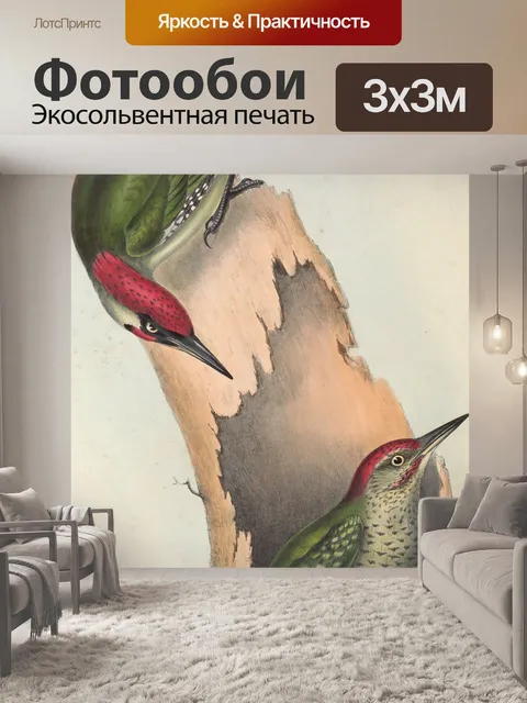 Фотообои Европейский зеленый дятел