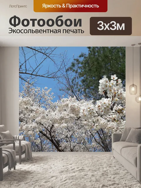 Фотообои Вишни в цвету