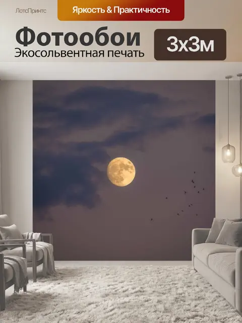 Фотообои Луна