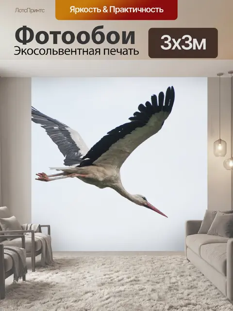 Фотообои Аист