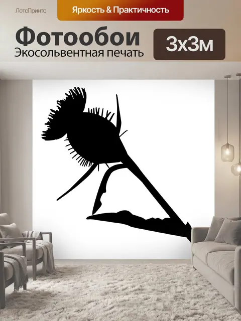 Фотообои чертополох силуэт