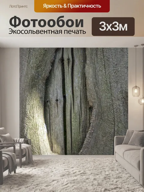 Фотообои Кора плоского дерева