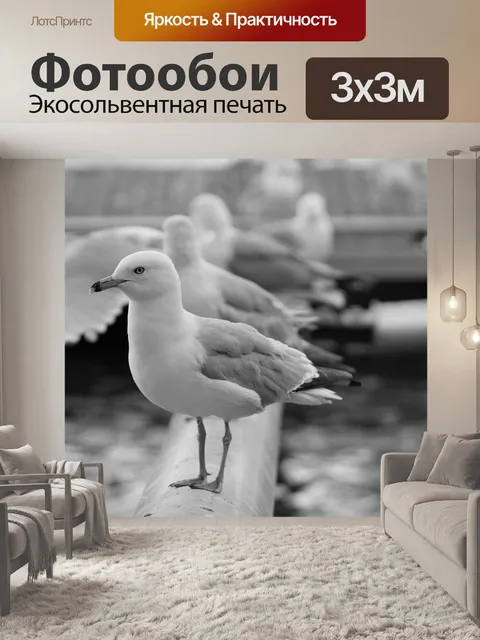 Фотообои Птицы