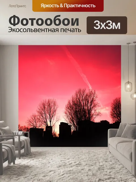 Фотообои Силуэт
