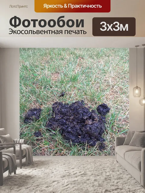 Фотообои Медведь дерьмо