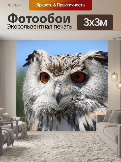 Фотообои Филин