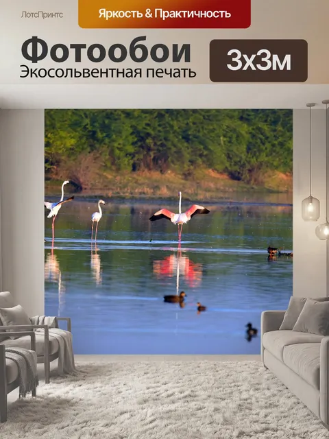 Фотообои Фламинго