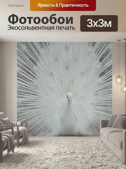Фотообои Альбино Павлин
