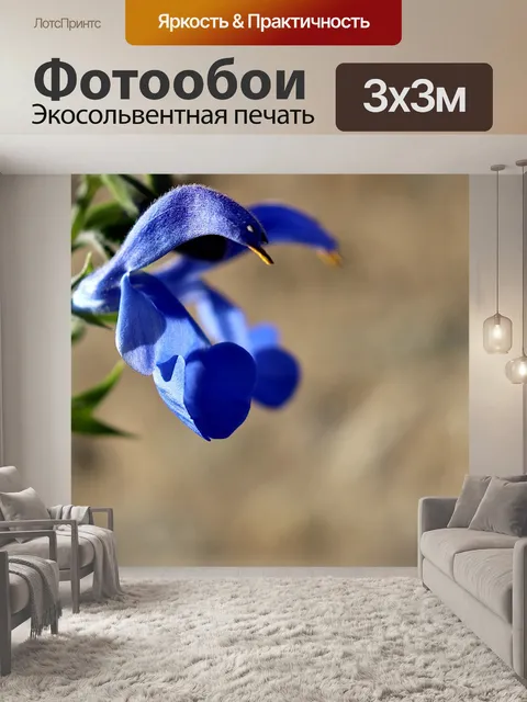 Фотообои Цветок