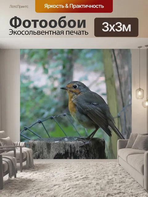 Фотообои Птица