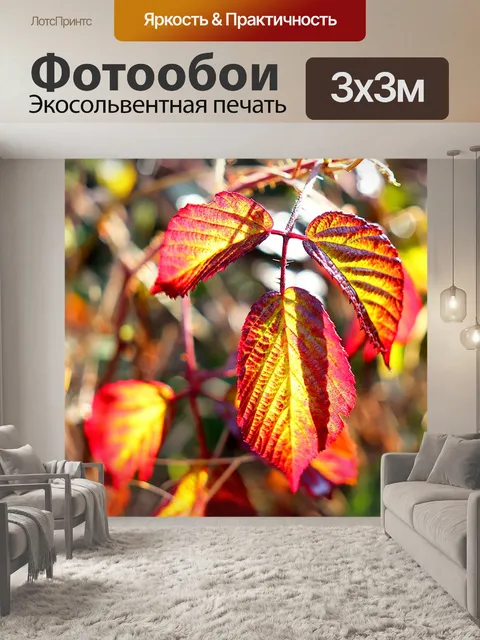 Фотообои Листы