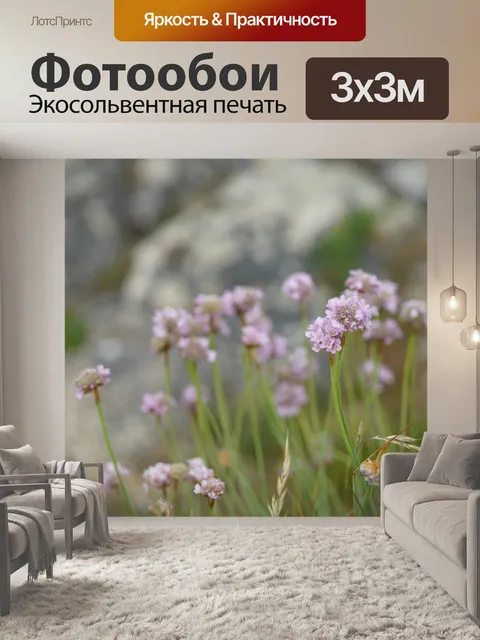 Фотообои Полевые цветы