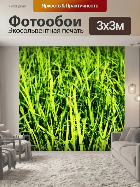 Фотообои Зеленое рисовое поле