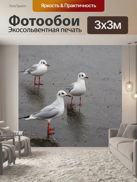 Фотообои Птицы