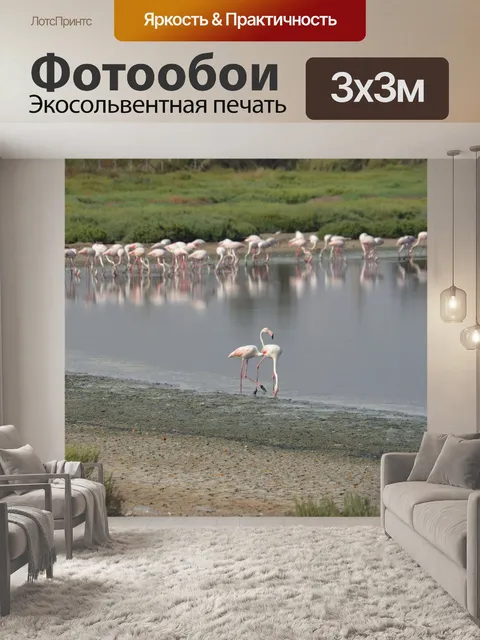 Фотообои Фламант роза