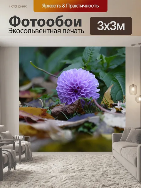 Фотообои Листья