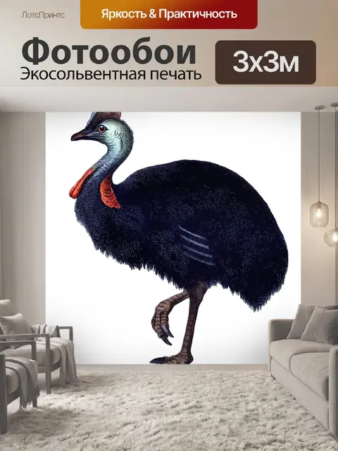 Фотообои Казуар Птица Винтажное Искусство
