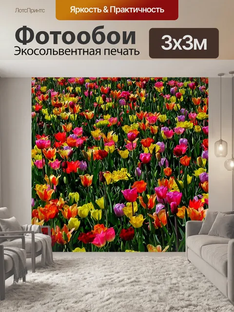 Фотообои Красота