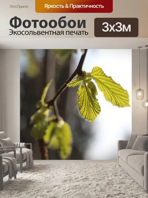 Фотообои Природа