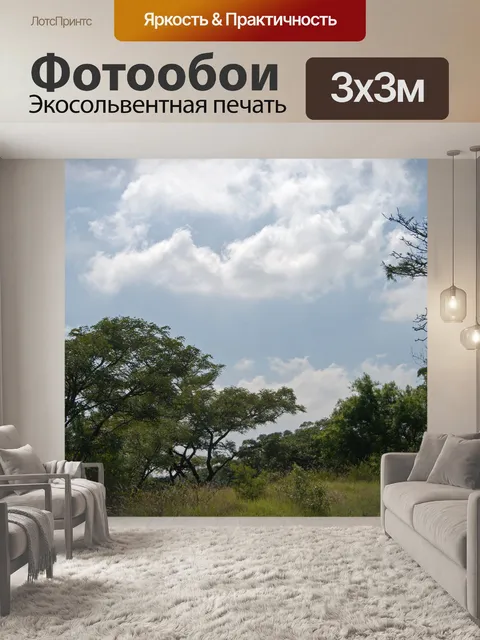 Фотообои деревья и облака