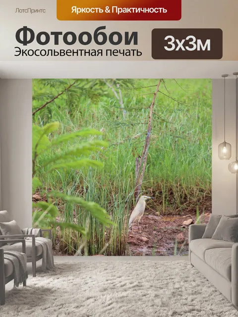 Фотообои Лес